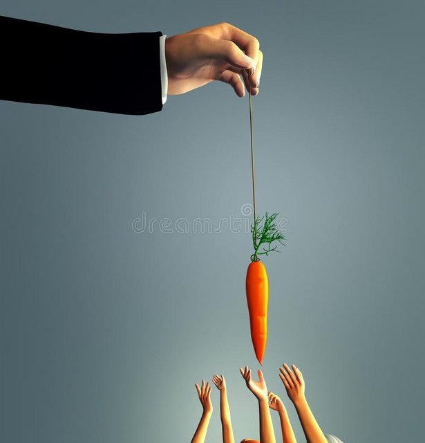 Name:  carrot-being-dangled.jpg
Views: 177
Size:  26.3 KB