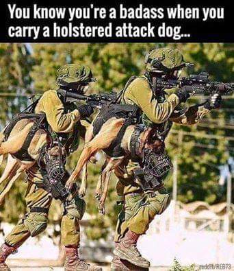 Name:  AttackDog.jpg
Views: 369
Size:  33.1 KB